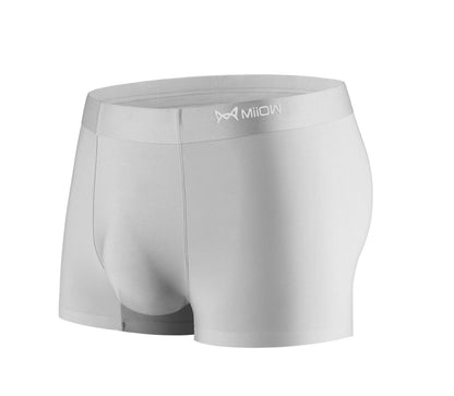 Men's Ultra-Thin Elastic Ice Silk Underwear——Spring 2026 New Arrivals