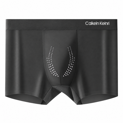 Caikein Keinri Men’s 10A Antibacterial Ice Silk Boxer Briefs